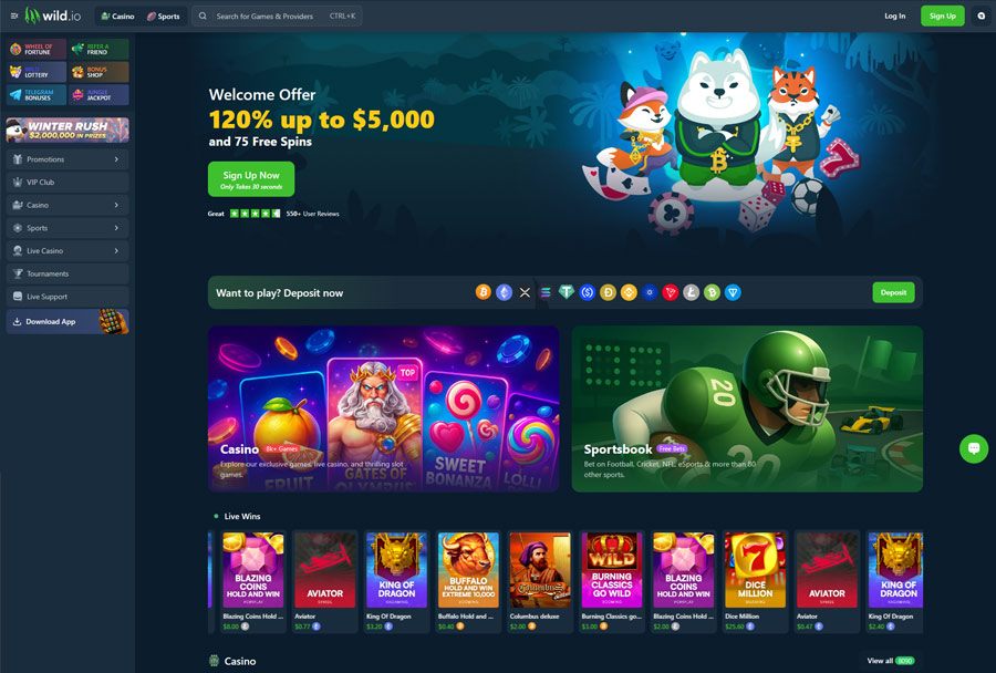Wild.io Casino